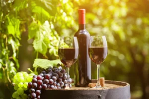 Italian wine tasting