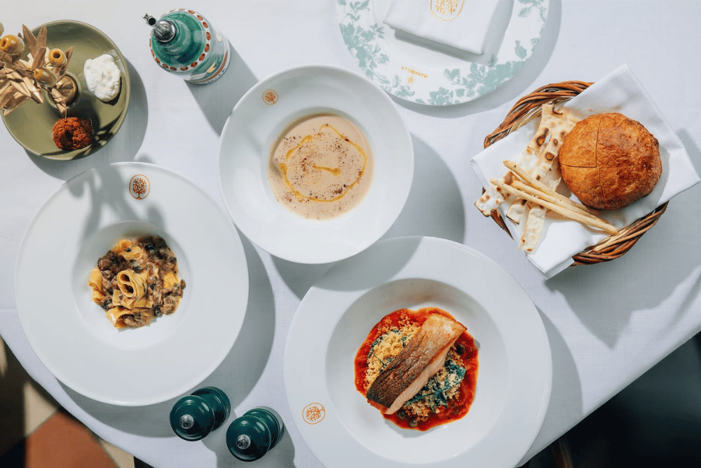 Business lunch spread featuring pasta, grilled fish, soup, fresh bread and appetizers on a dining table.